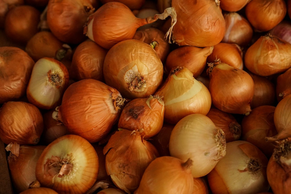 The Best Homemade Onions for Hot Dogs and Burgers The Cooking Plumber