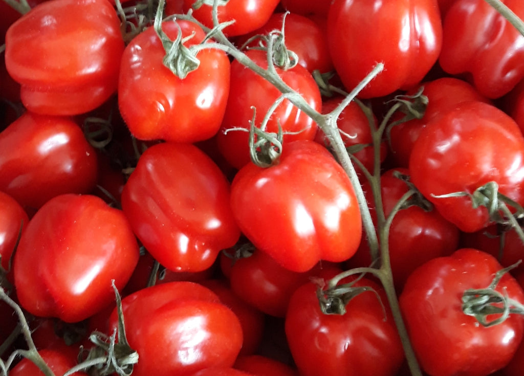A what of tomatoes?