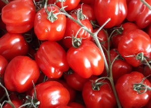 A what of tomatoes?